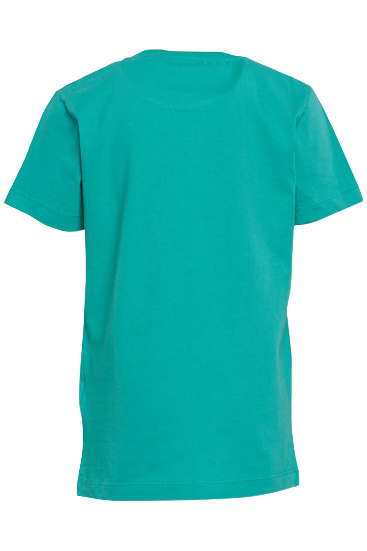 BASIC COTTON T-SHIRT KIWI 2