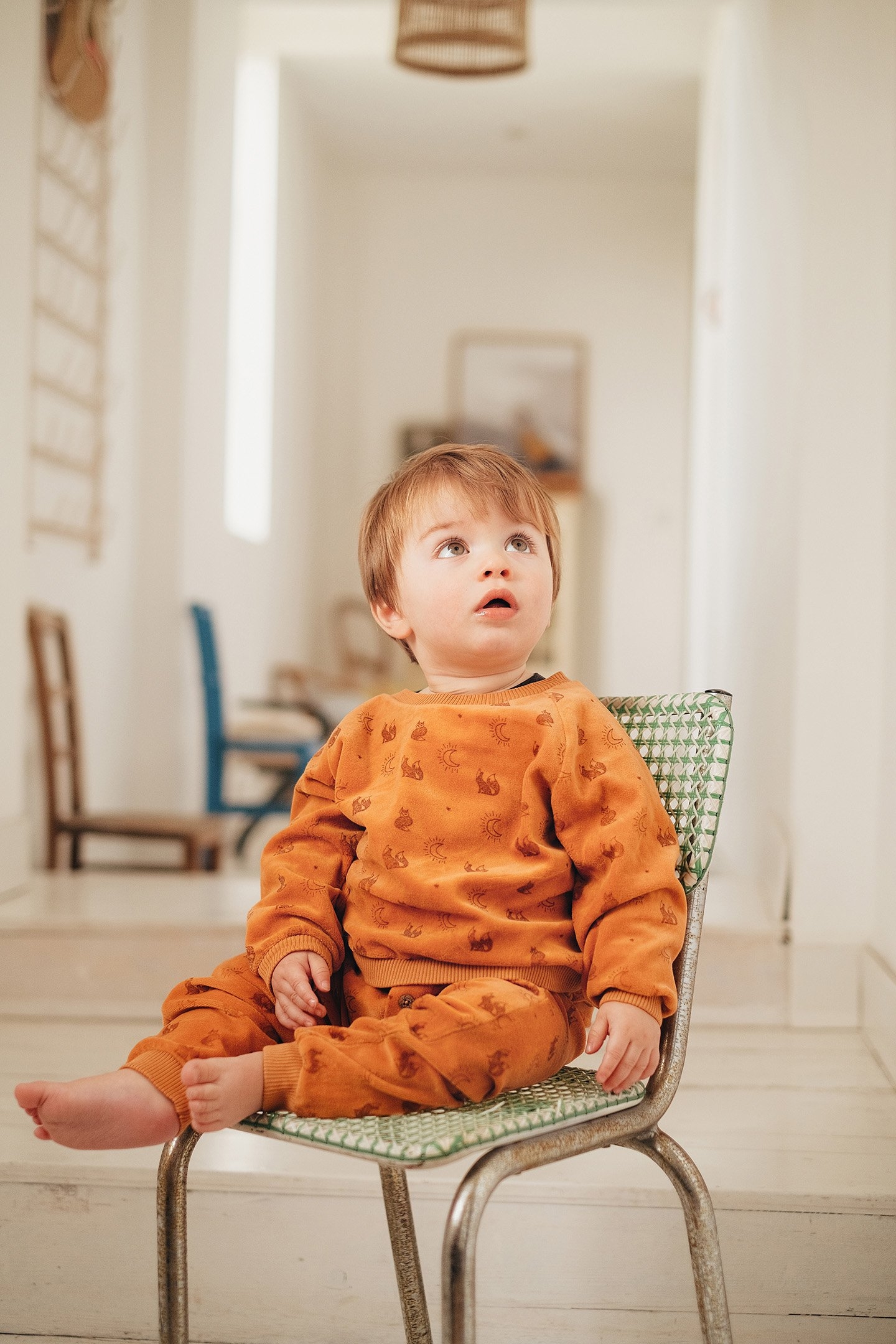 SWEATSHIRT SAMUEL NUTS 3