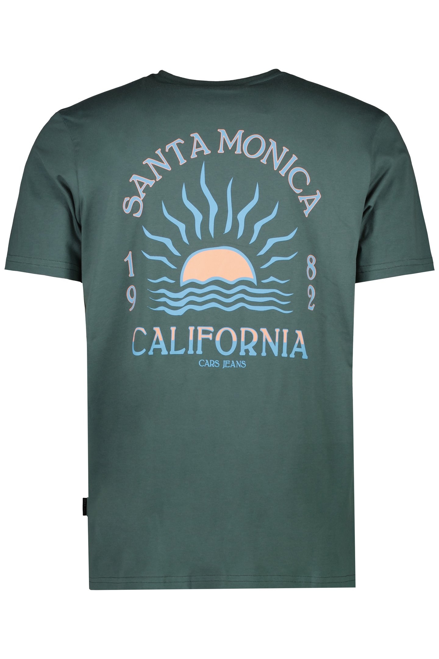 RADDLER TS PRINT MOSS 2