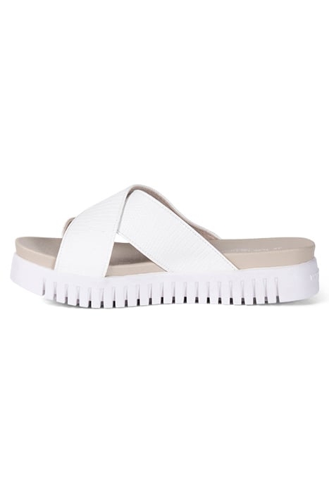 TULIP1465RE WHITE SUGAR 3