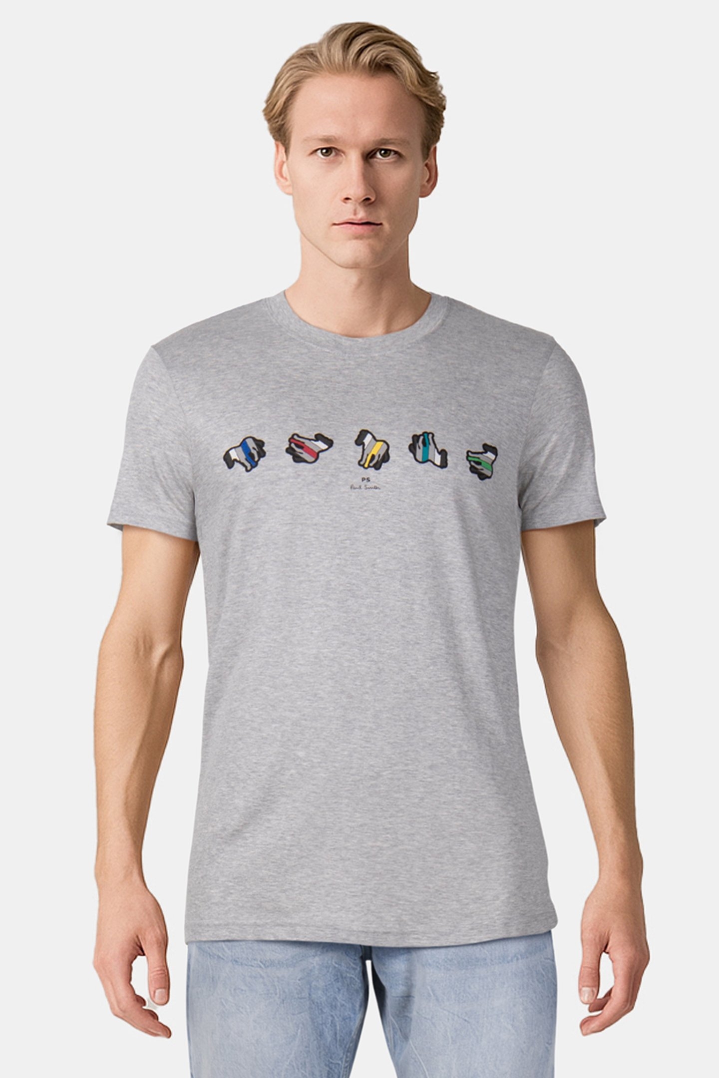 REG FIT TSHIRT ZEBRA REPEAT GREY MELANGE 1