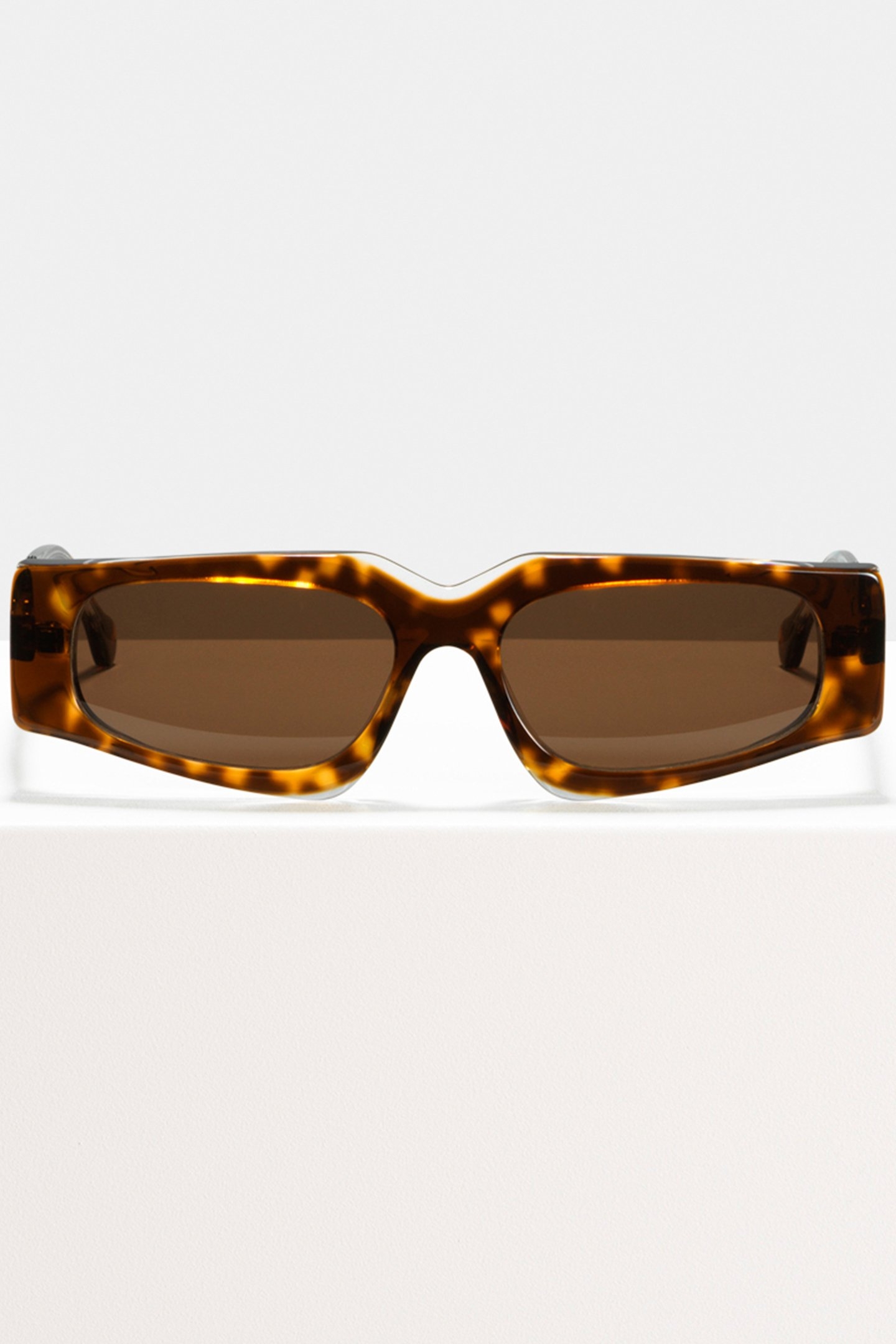 ASHLEY HELL RAISER ESIO TROT 1