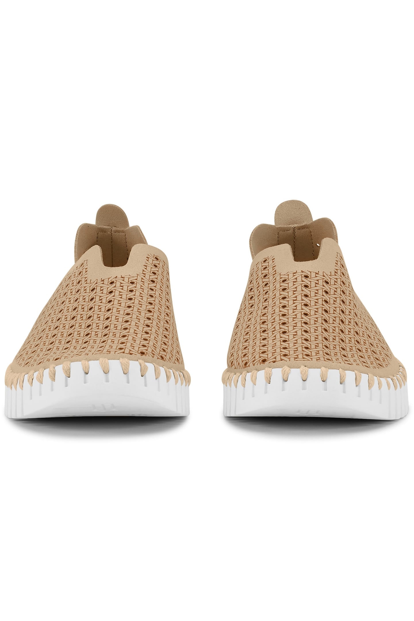 TULIP4031 LATTE WHITE 6