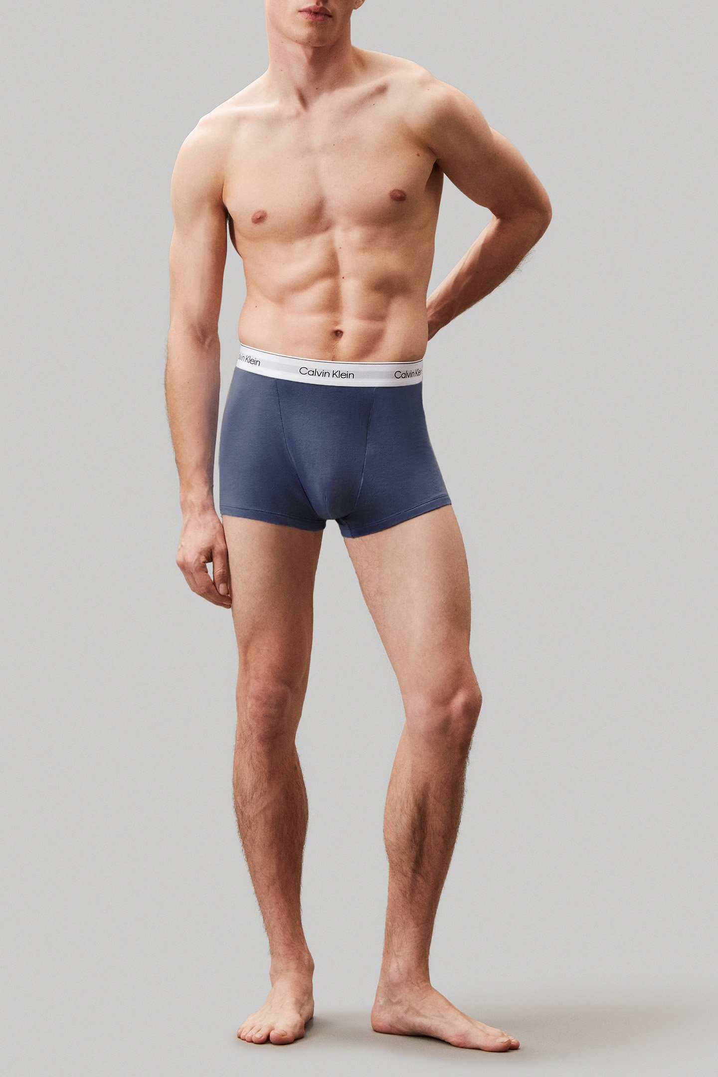 RELAXED DART TRUNK 3 3