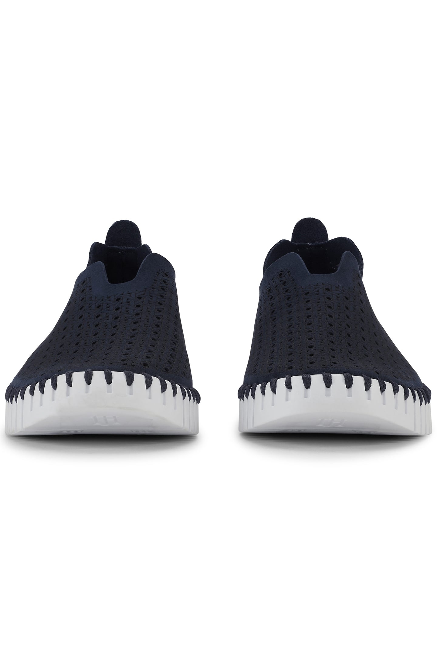 TULIP4031 DARK INDIGO WHITE 7