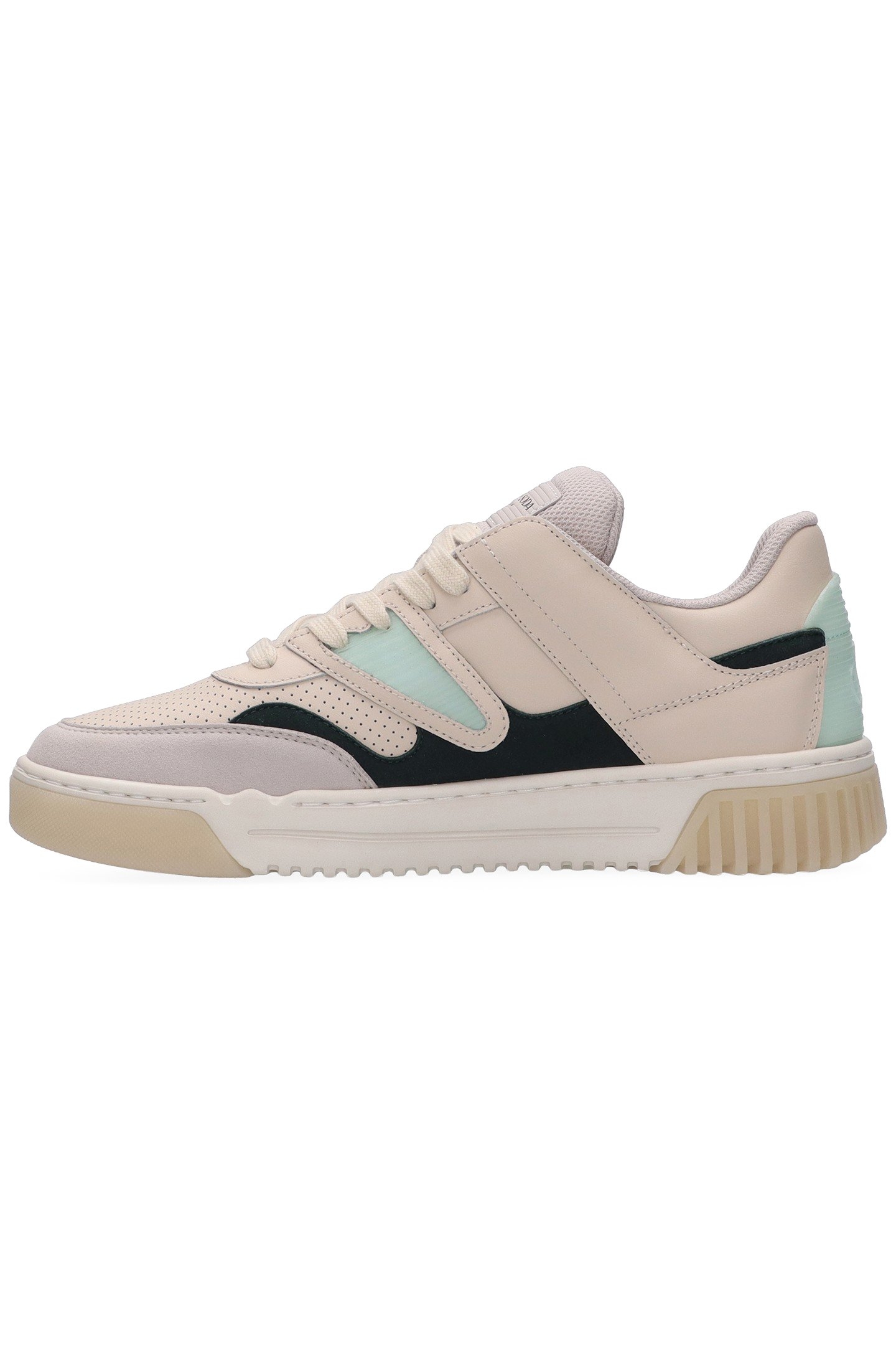 NEW CUP BEIGE-GREEN 2