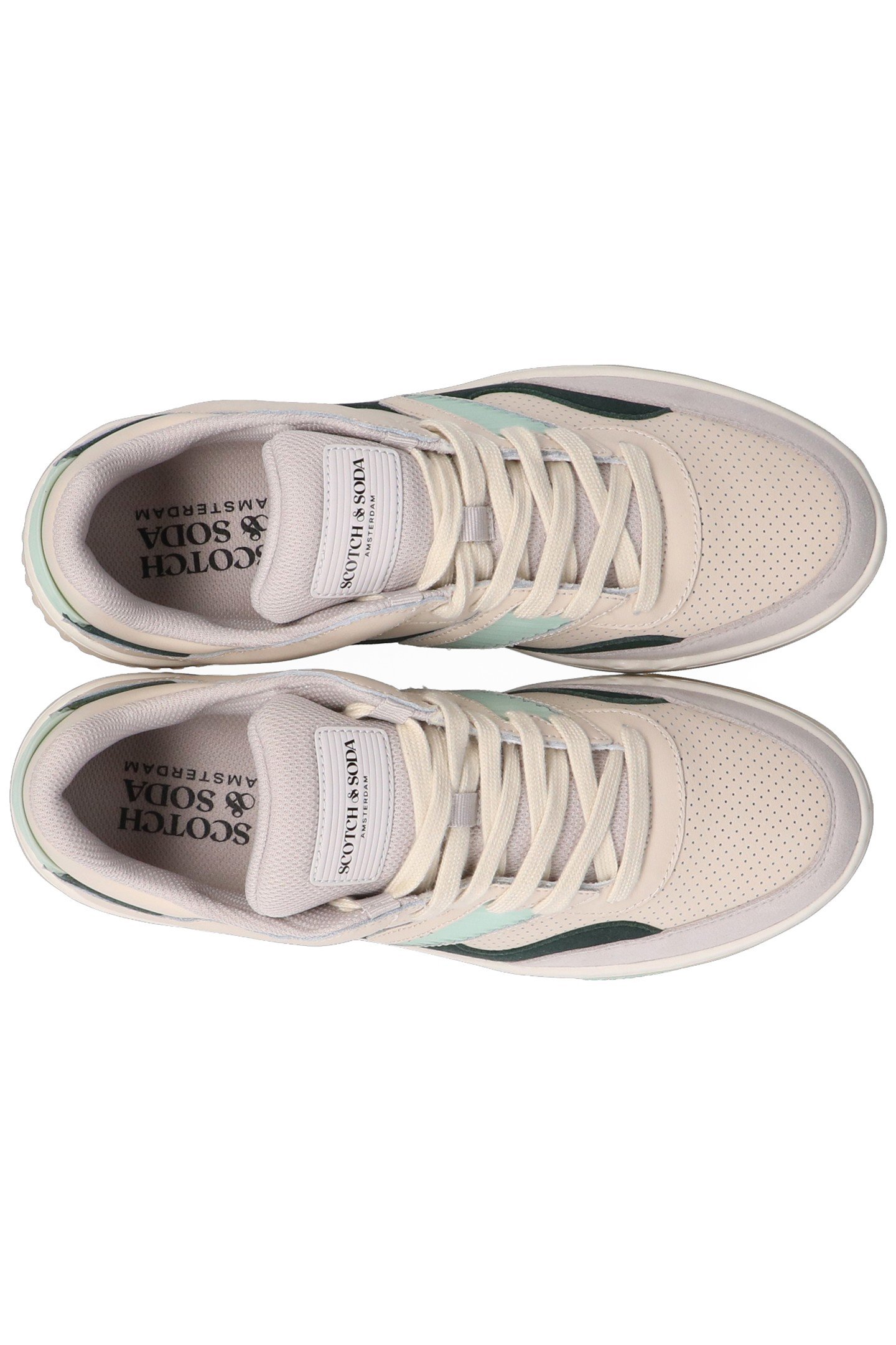 NEW CUP BEIGE-GREEN 5