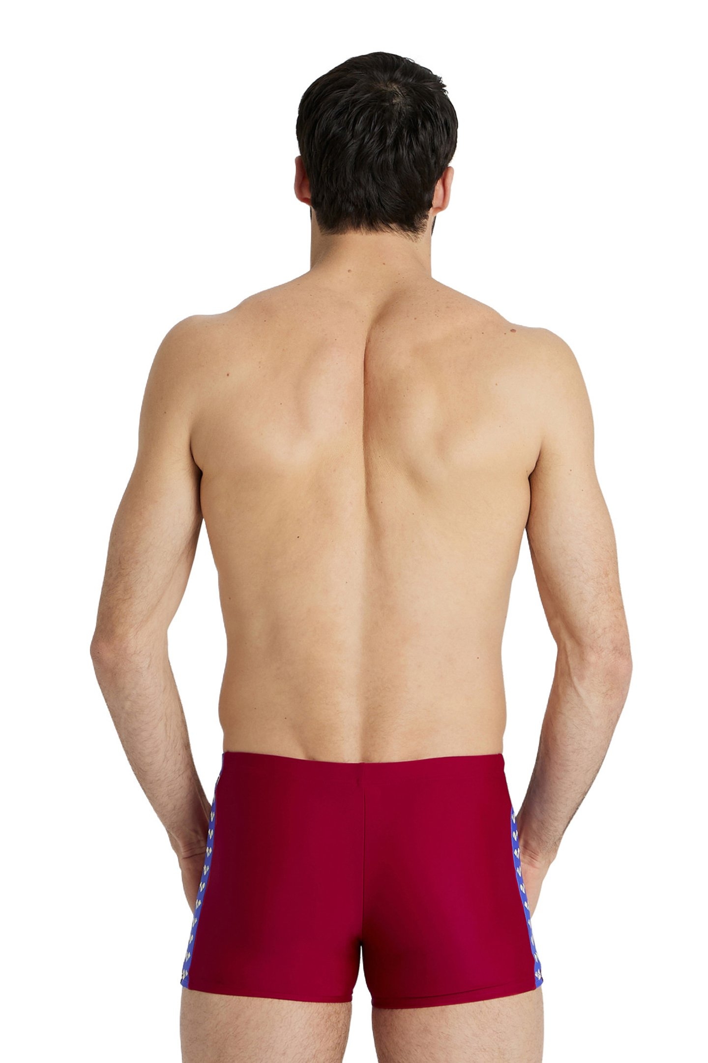 MEN'S ARENA ICONS SWIM SHORT SOLID BURGUNDY 2