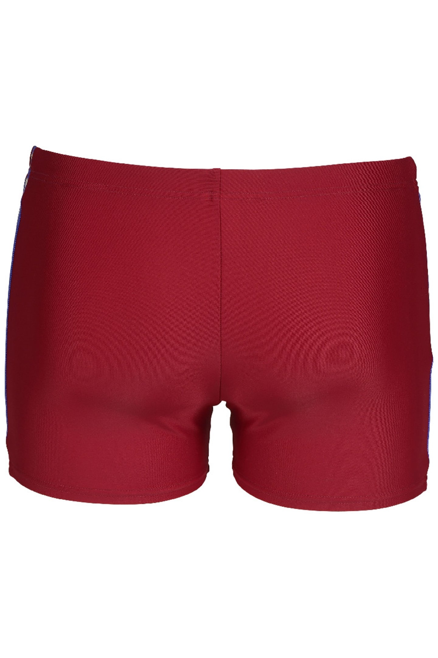 MEN'S ARENA ICONS SWIM SHORT SOLID BURGUNDY 5