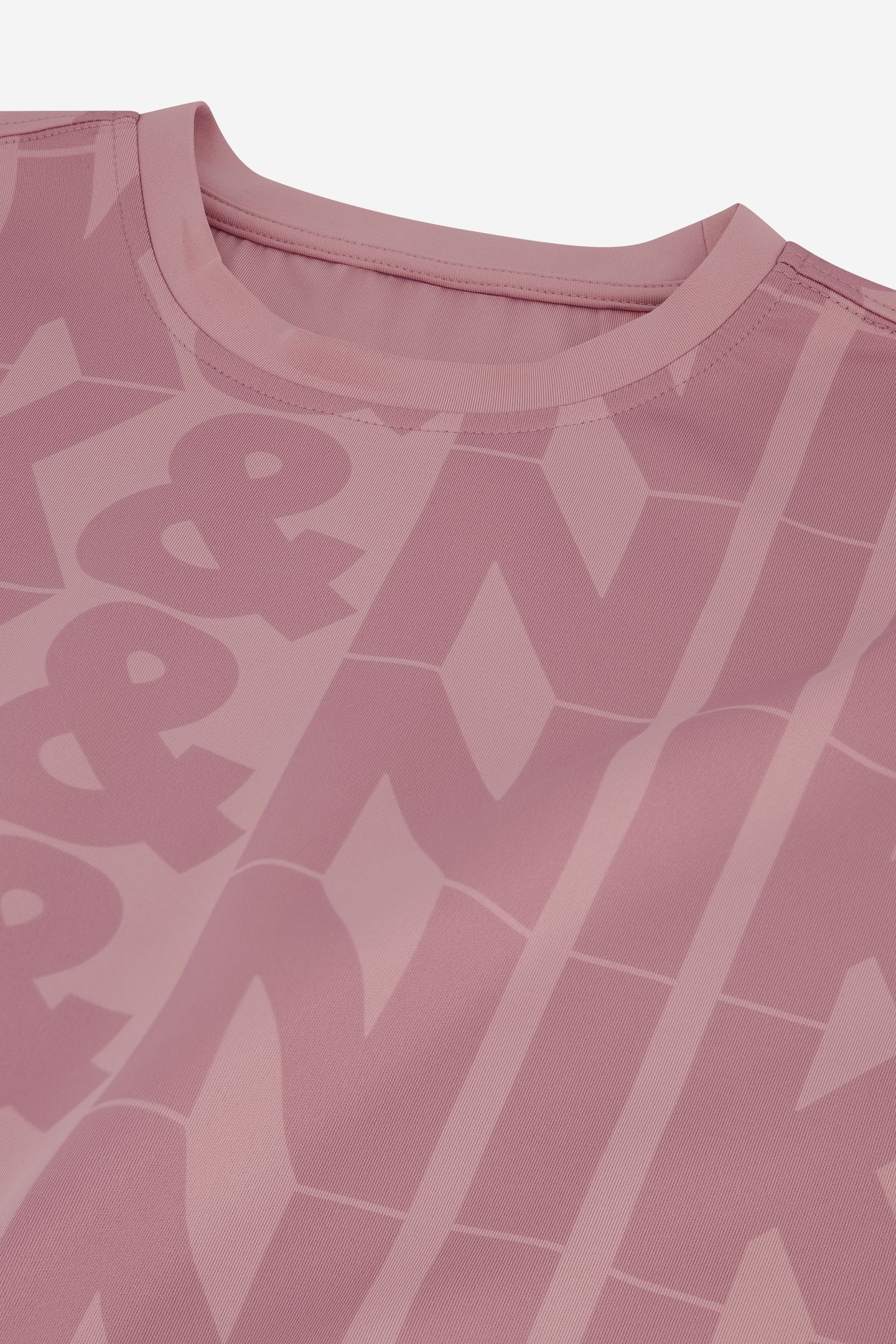 BIG LOGO T-SHIRT MISTY ROSE 3