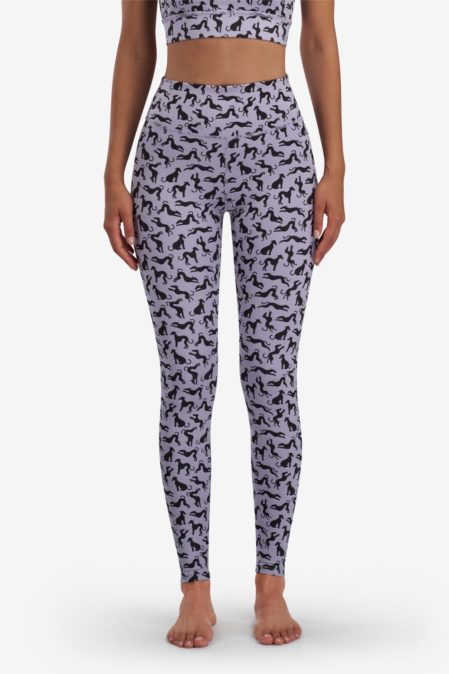 PANTS DOMINIQUE WISTERIA 1