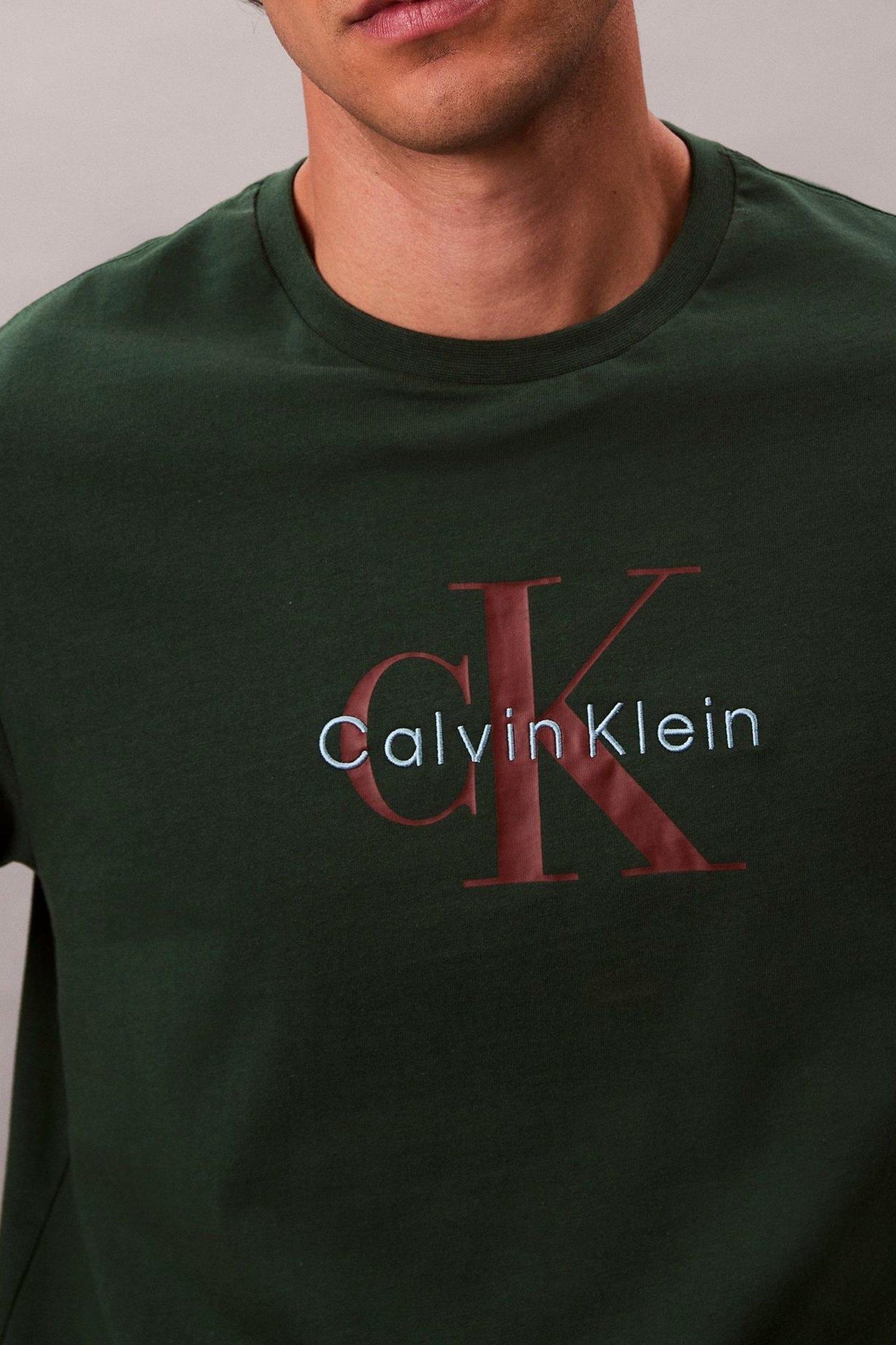 SS HERO MONOLOGO TEE SYCAMORE 6