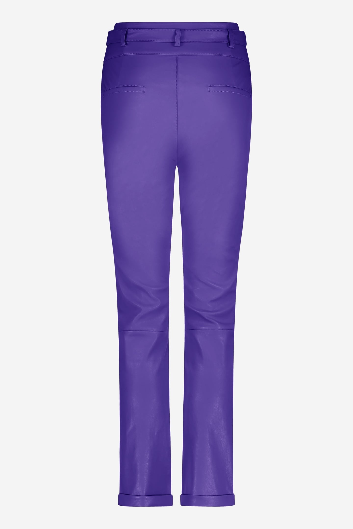 PAXTON VIOLET 4