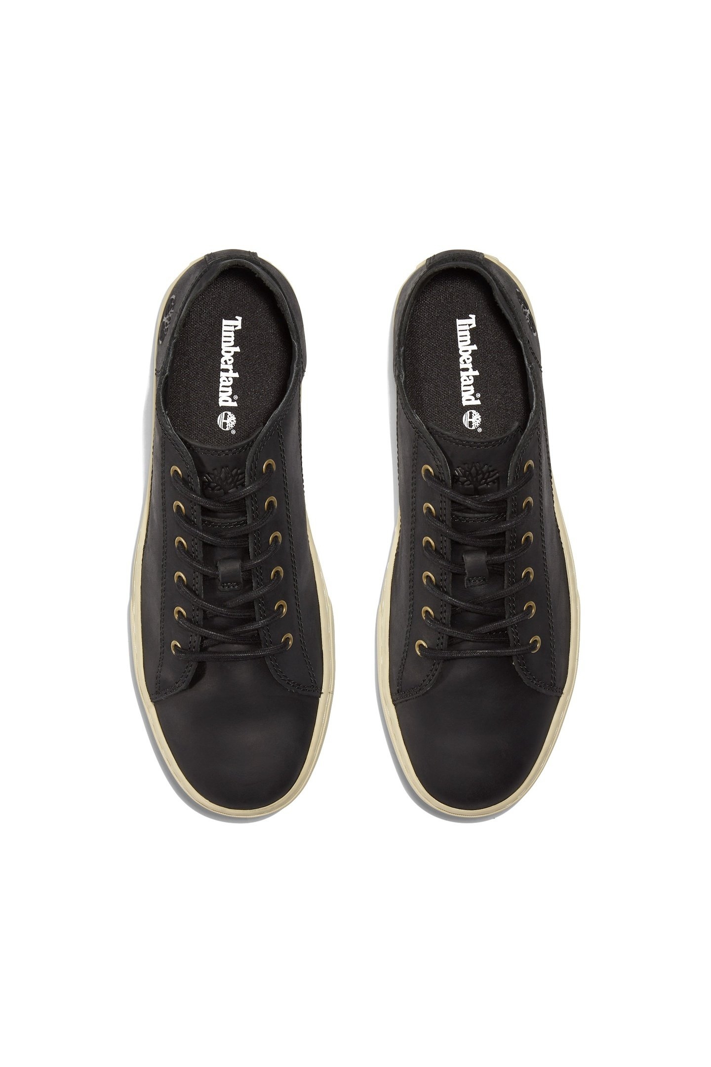 ADVENTURE 2.0 LOW LACE UP SNEAKER JET BLACK 8