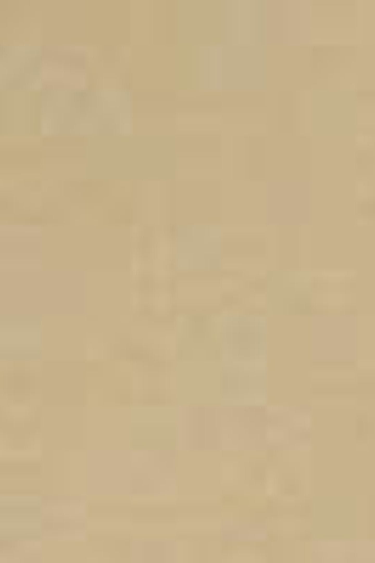 TWILL HOTEL KARL CREST SWEATSHIRT 5