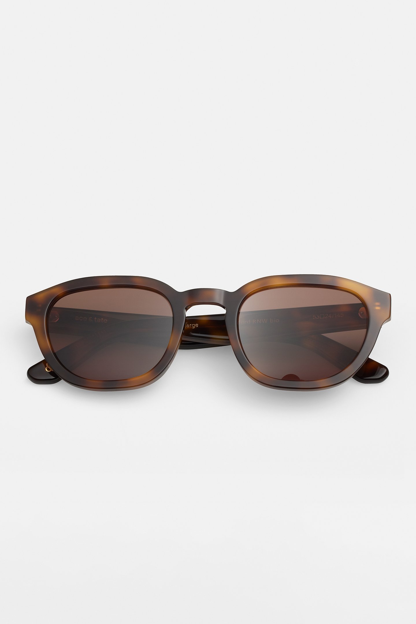 OTIS-LARGE-OXFORD-SUN 2