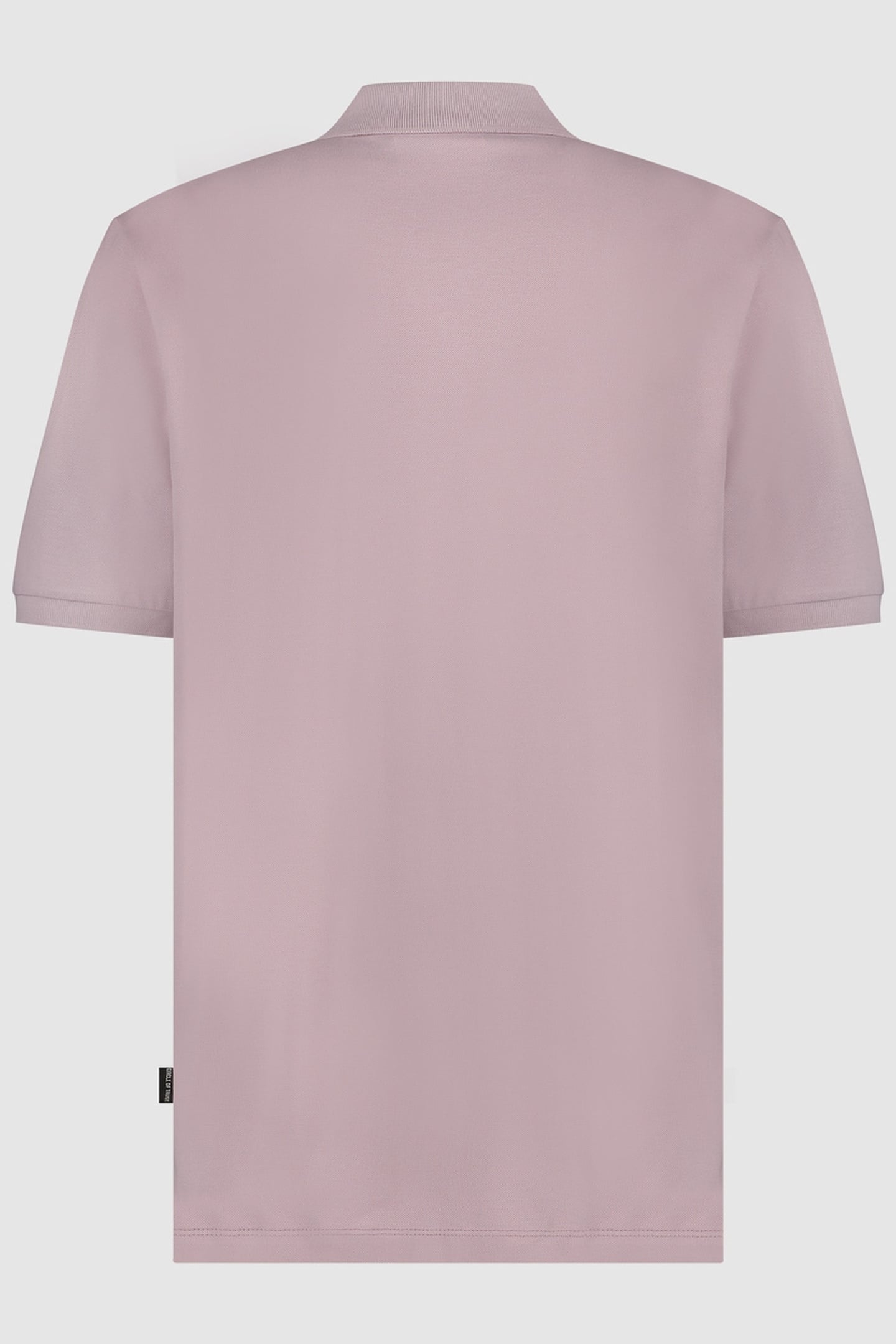 ENRIQUE POLO LILAC 2