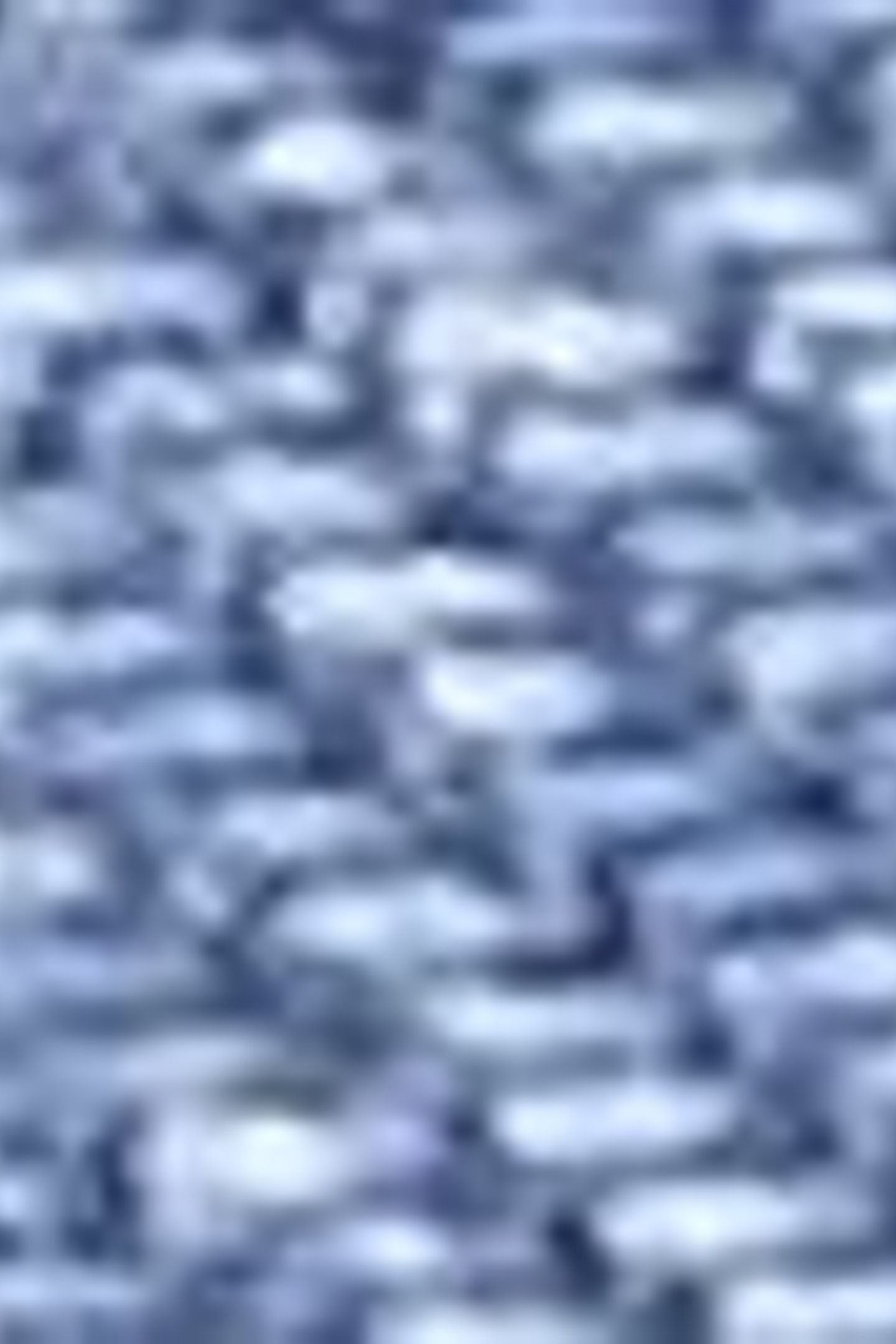 LEVI'S® L-PACK ROUND BACKPACK BLUE 5