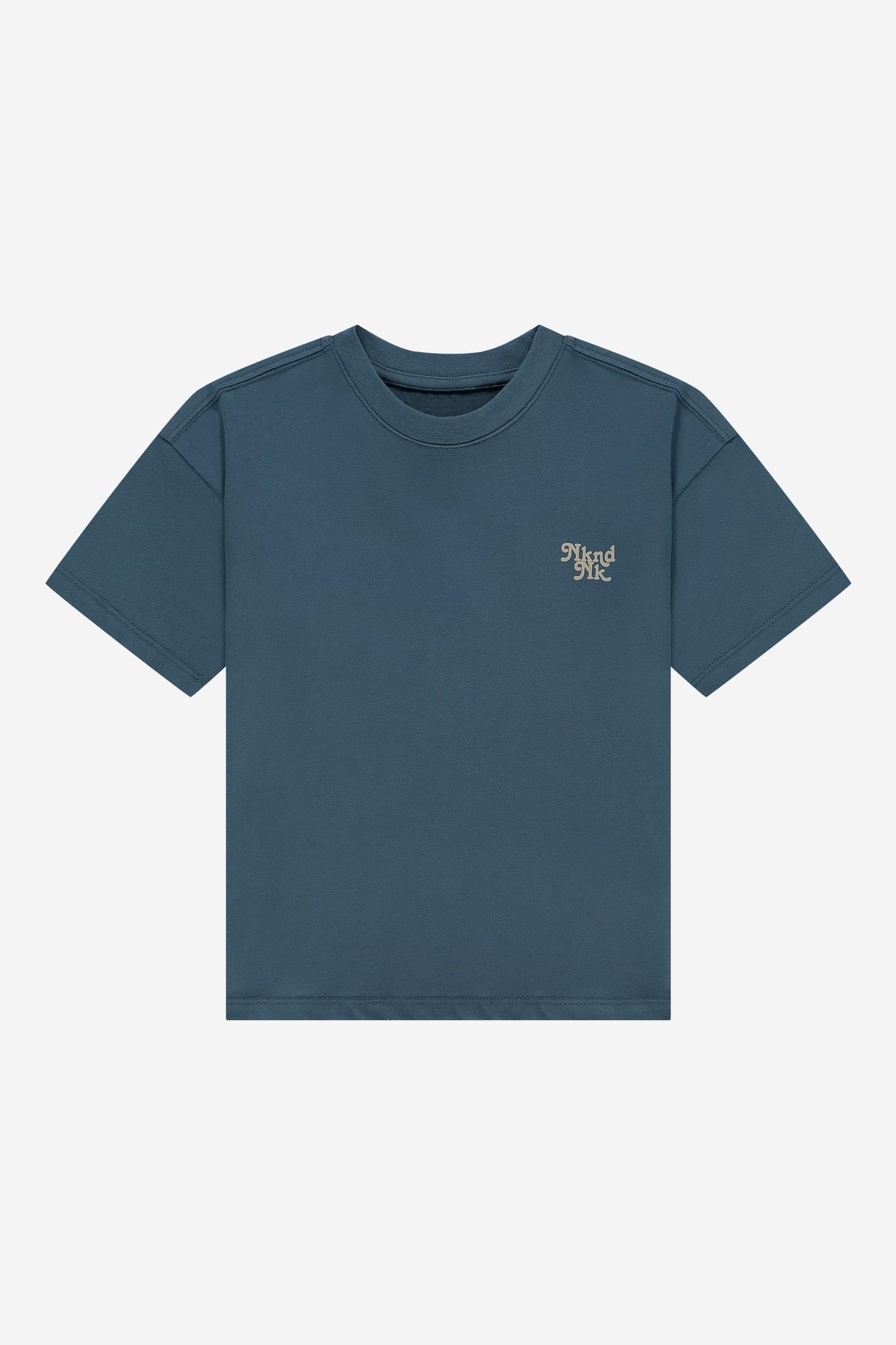 NKNDNK T-SHIRT DUSTY BLUE 1
