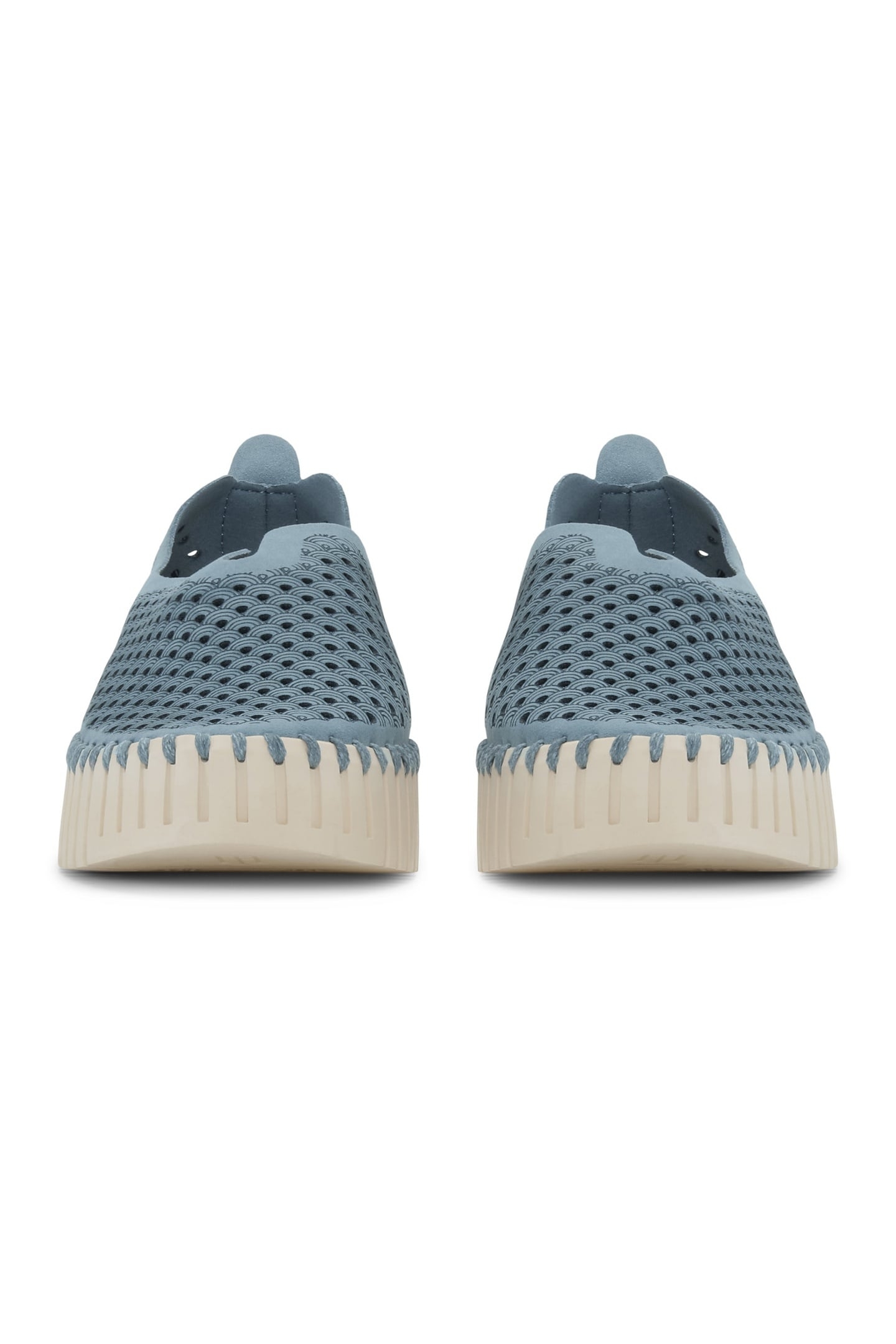 FLATS TULIP3373 BLUE CLOUD 7