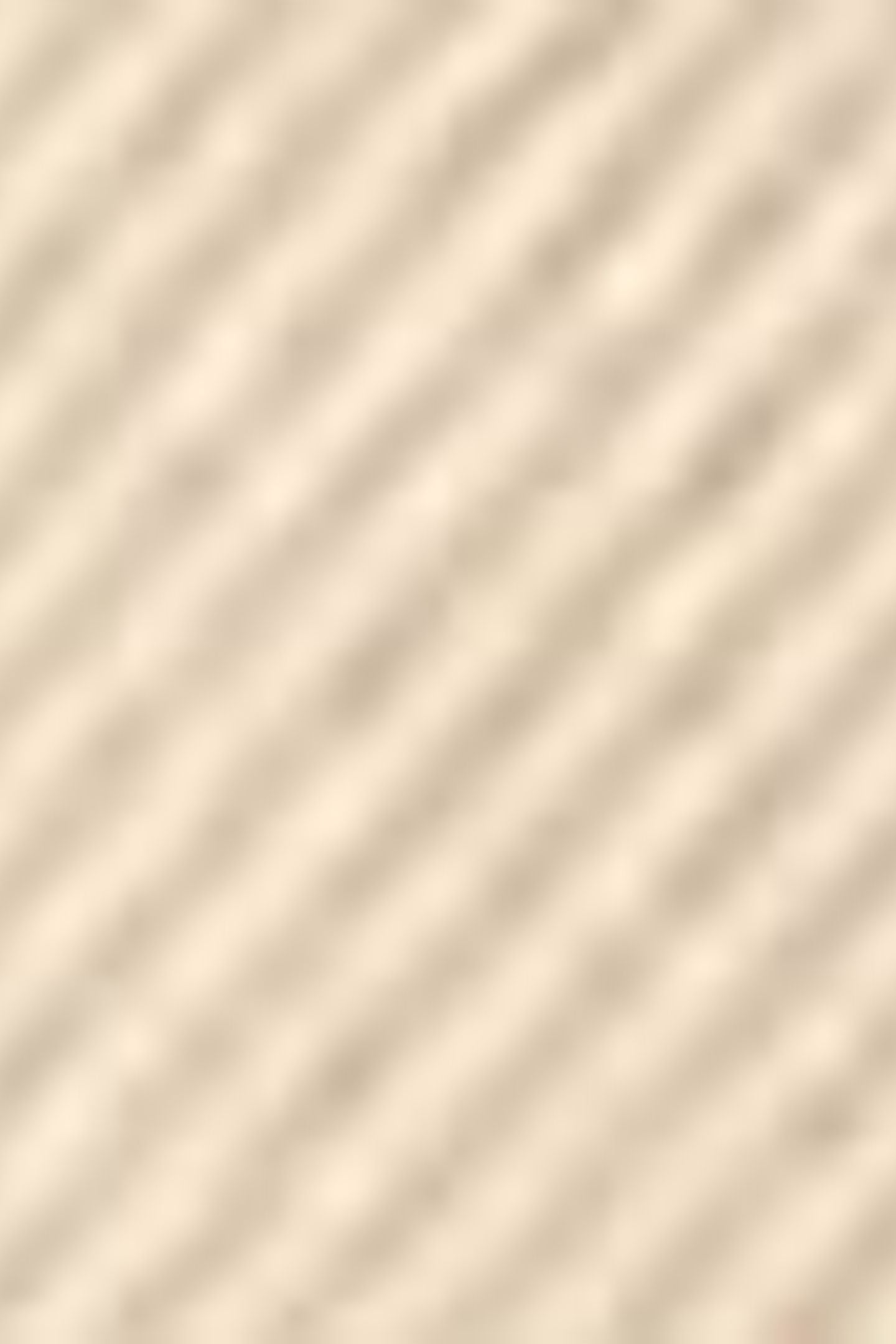 HIGH BAGGY LIGHTWEIGHT SHORTS BEIGE 7