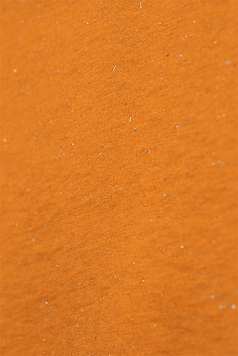 T-SHIRT JERSEY LONG SLEEVES 81101365 HONEY GINGER 5