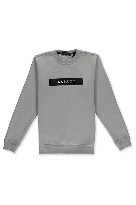 ICONIC CREWNECK 3.0 GREY 1