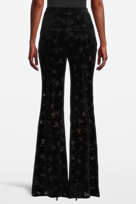WOMEN‘S VELVET DEVORÉE PANTS BLACK 099 2
