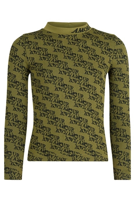 GAA- AMOUR TURTLENECK DARKGREEN 1