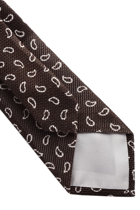 BROWN PAISLEY TIE 2