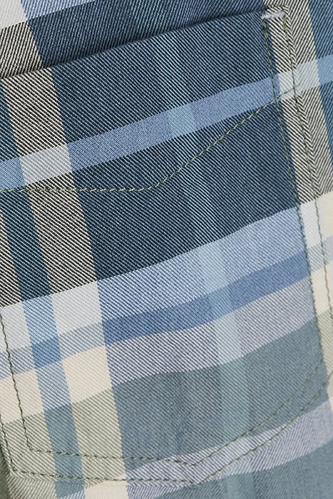 DARWIN CHECK + SAGE GREEN 3