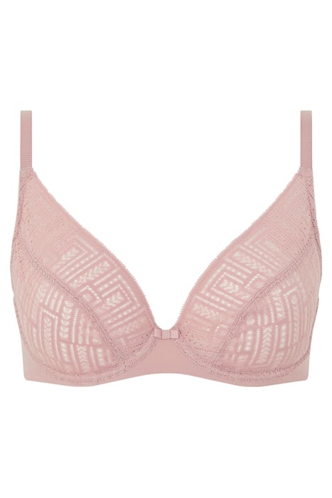 EVERYDAY GRAPHIQUE ENGLISH ROSE 5