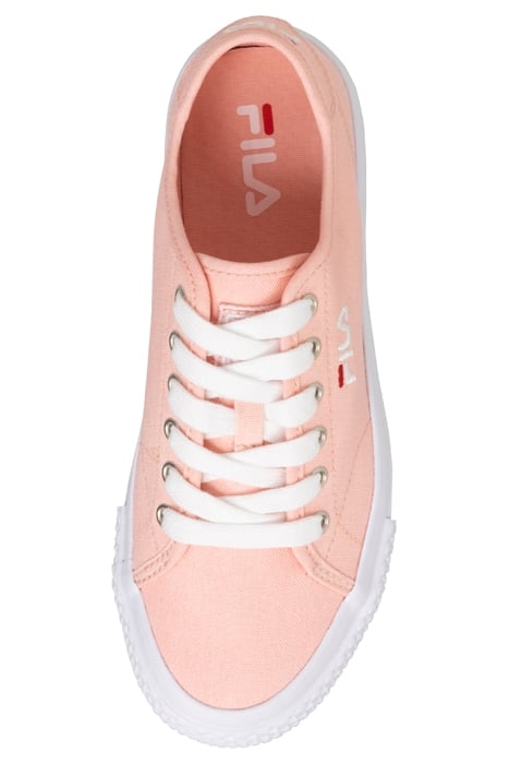 POINTER CLASSIC WMN PALE ROSETTE 7