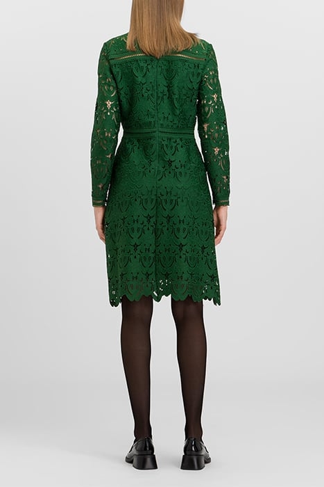 MONA MINI LENGTH LACE DRESS RAINFOREST 2