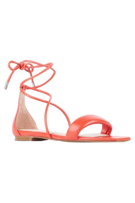 PANORA ITEM IN PINK 3