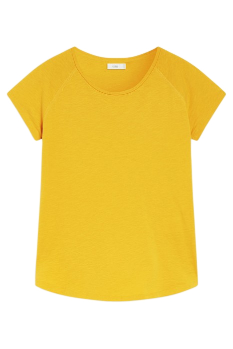 T SHIRT RAGLAN T-SHIRTS SUNFLOWER 3