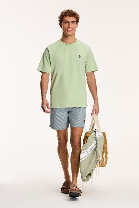 PALM T-SHIRT DUST GREEN 5