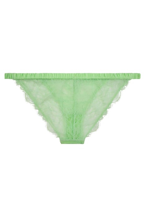 WILD ROSE BRIEF LIME 2
