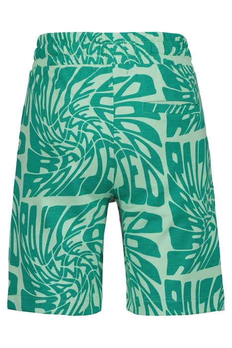 BOYS FINN SHORTS BRIGHT MINT 4