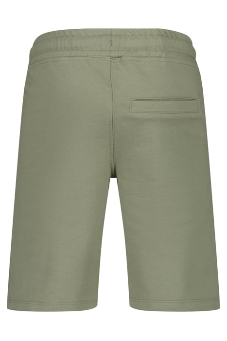 RASTONI NEW OLIVE 2