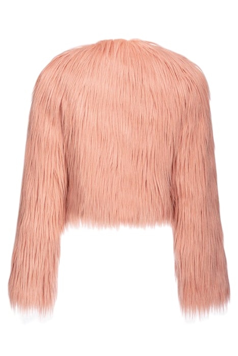 GARFIELD JACKET CAMEO ROSE 2