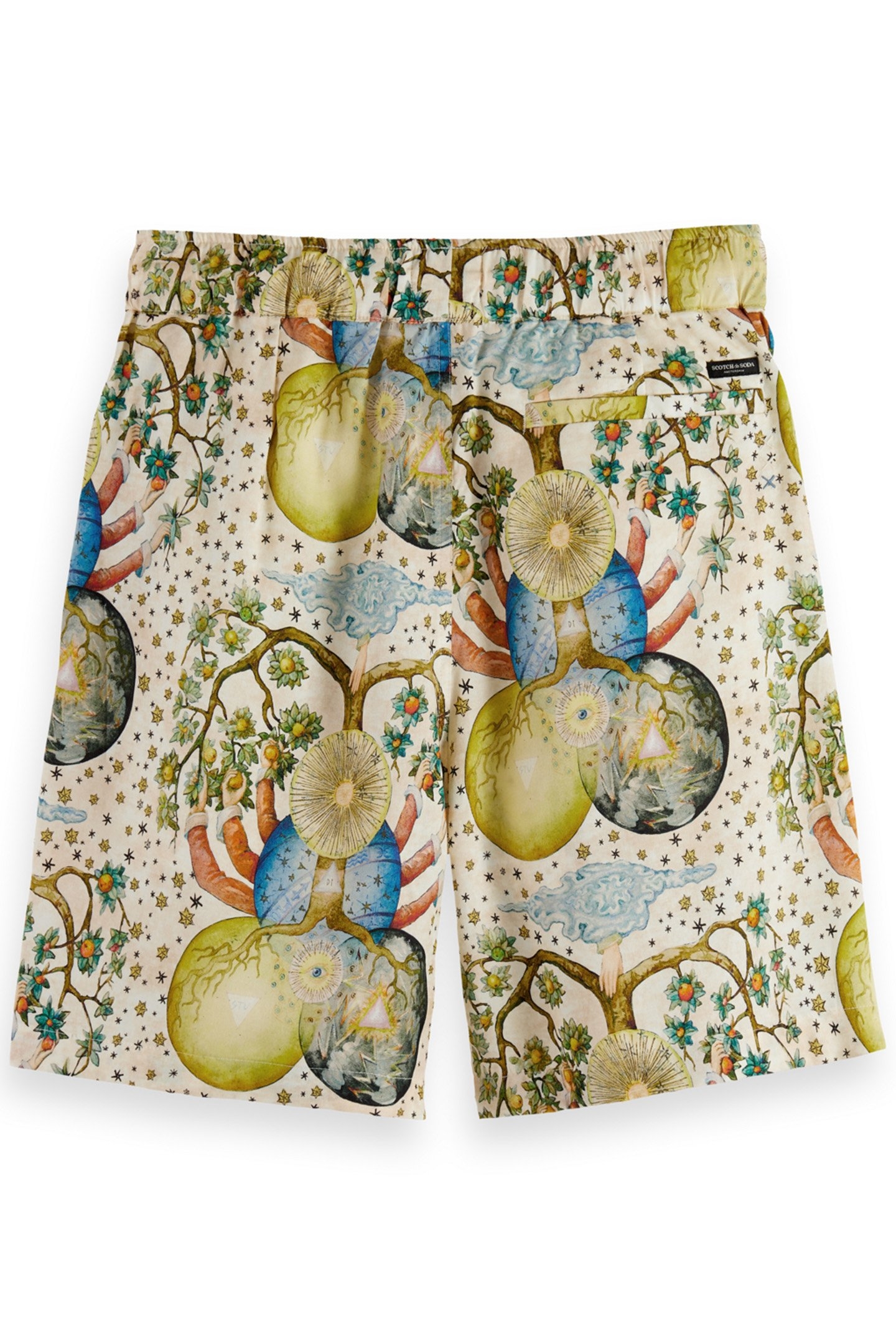 FAVE - PRINTED EMBASSY OF THE FREE MIND BERMUDA SHORT EMBASS 5