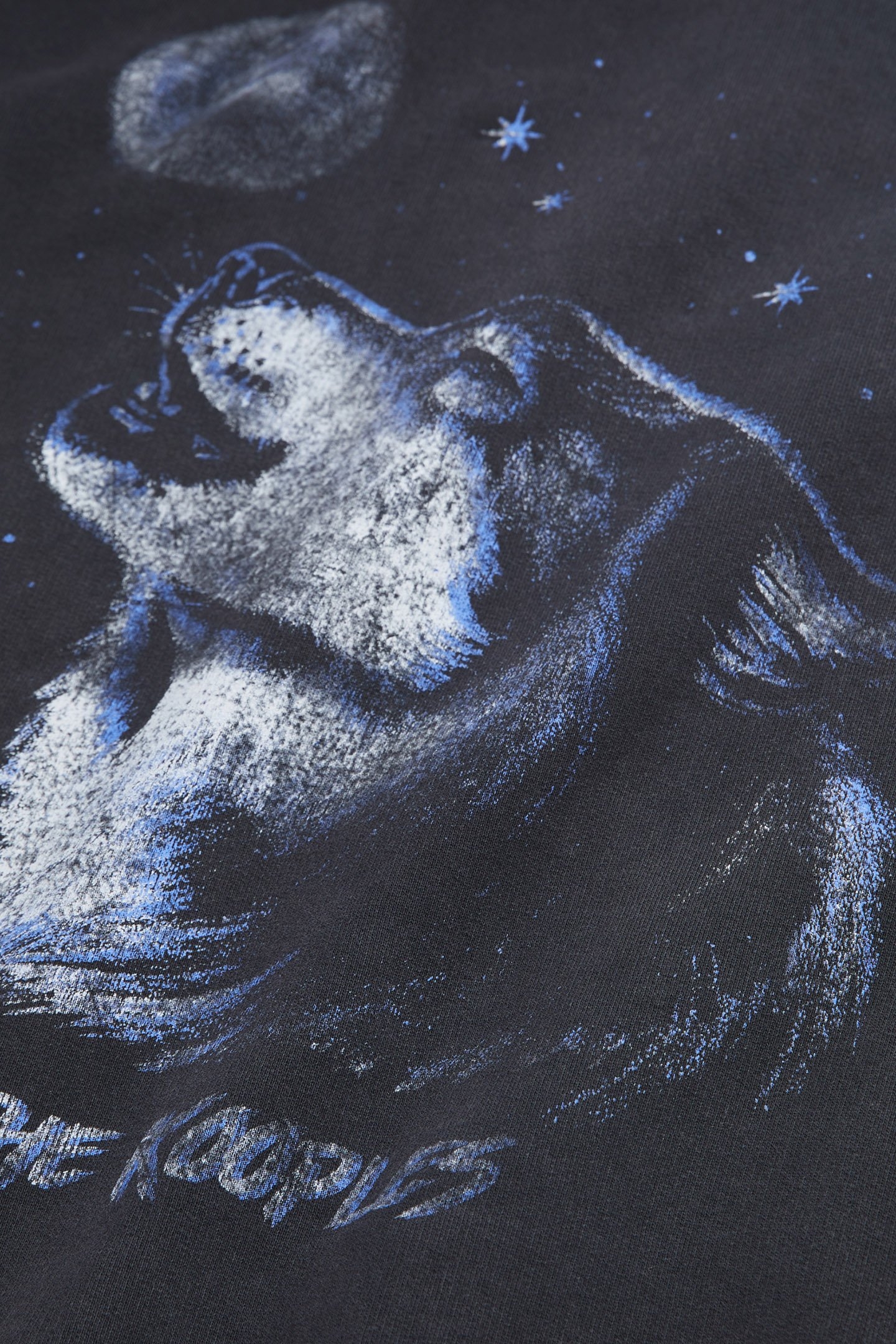 SWEAT WASH WITH WOLF PRINT BLACK WASHED 5