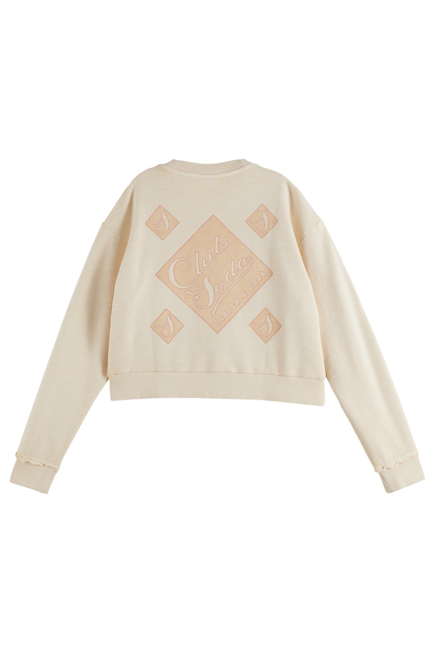 FRONT BACK ARTWORK GARMENT DYE LOOSE FIT SWEATSHIRT SOFT ICE 6